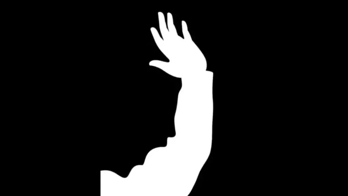 optical illusion personality test