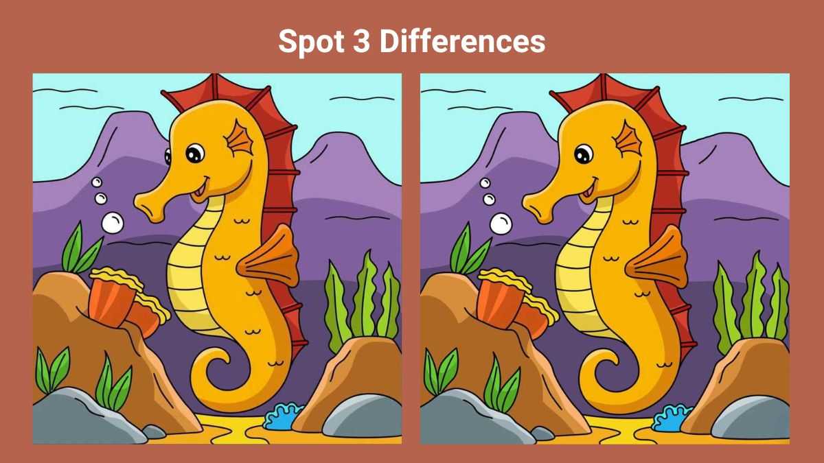 Spot 3 differences between the sea horse pictures in 18 seconds!