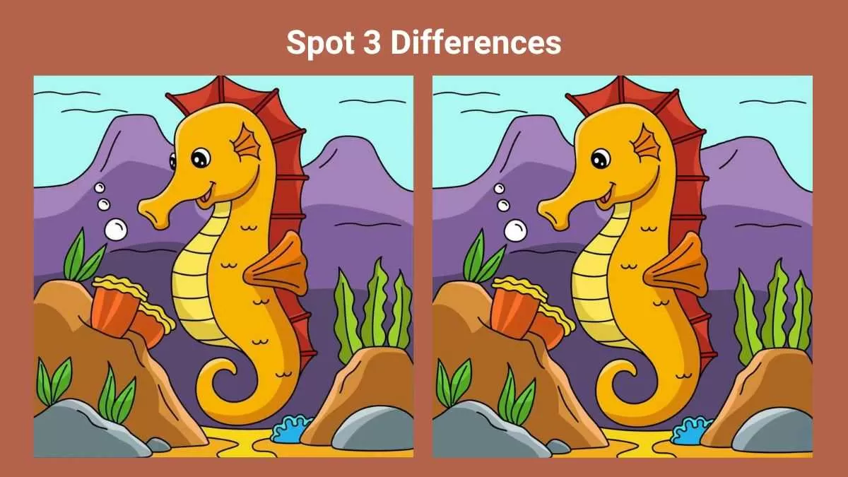 Spot 3 differences in 18 seconds