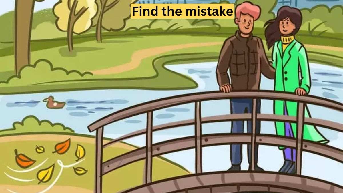 Picture Puzzle IQ Test: Think You’re Smart? Spot The Mistake In This Bridge Scene In 5 Seconds!