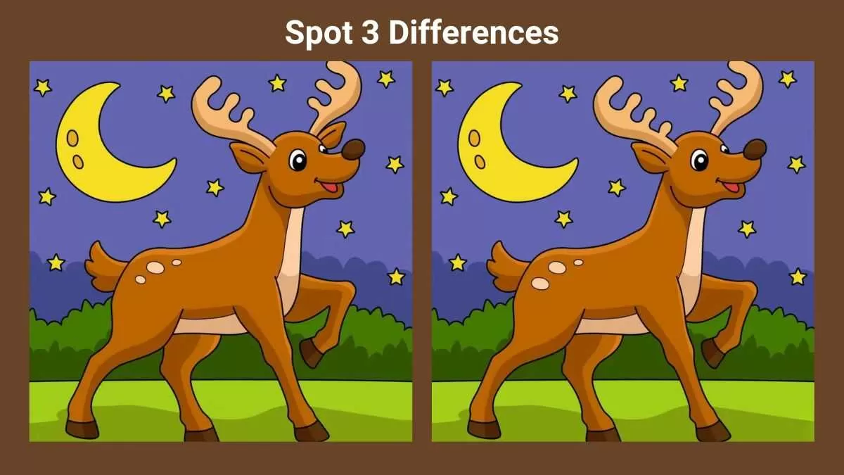 Spot 3 differences in 23 seconds