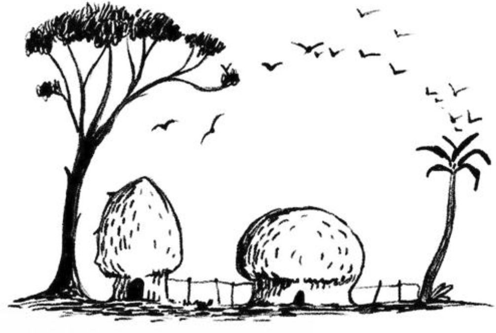 hidden optical illusions with answers