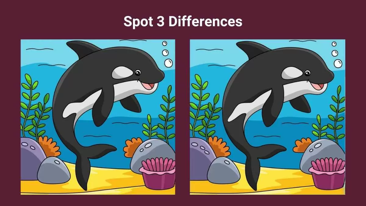 Spot 3 differences in 19 seconds