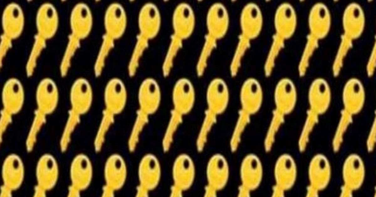Brain Teaser: Can You Solve This in 11 Seconds? Only 5% of High IQ Adults Can Find the Different Key in This Puzzle!