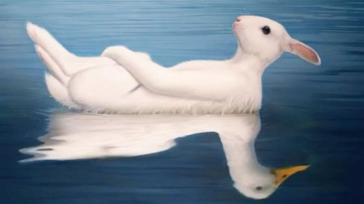 optical illusion personality test