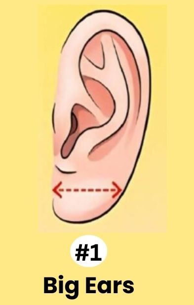 big ears personality traits