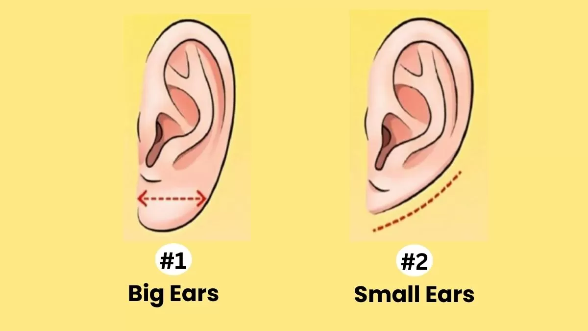 Ears Personality Test