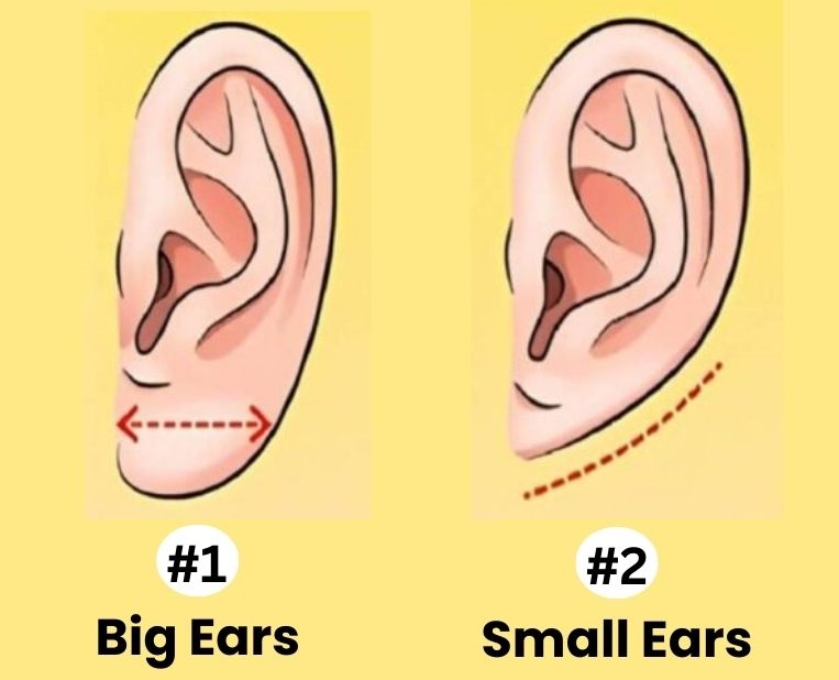 ears personality test