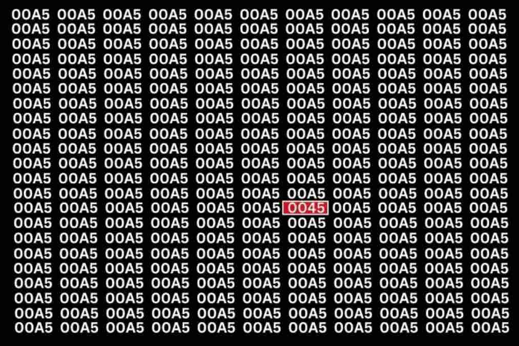 hidden optical illusions