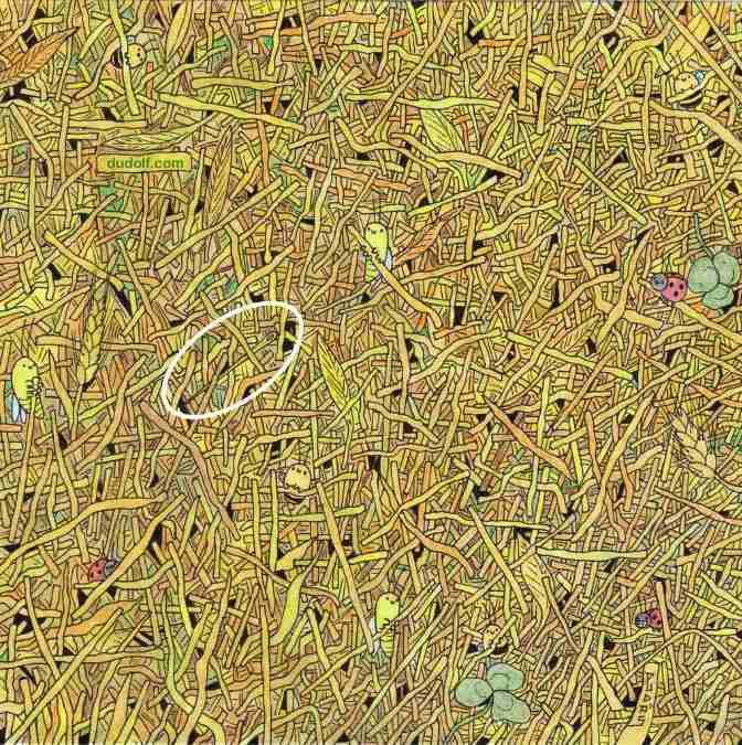 hidden objects picture puzzles