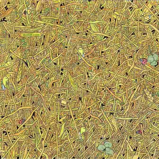 hidden objects picture puzzles