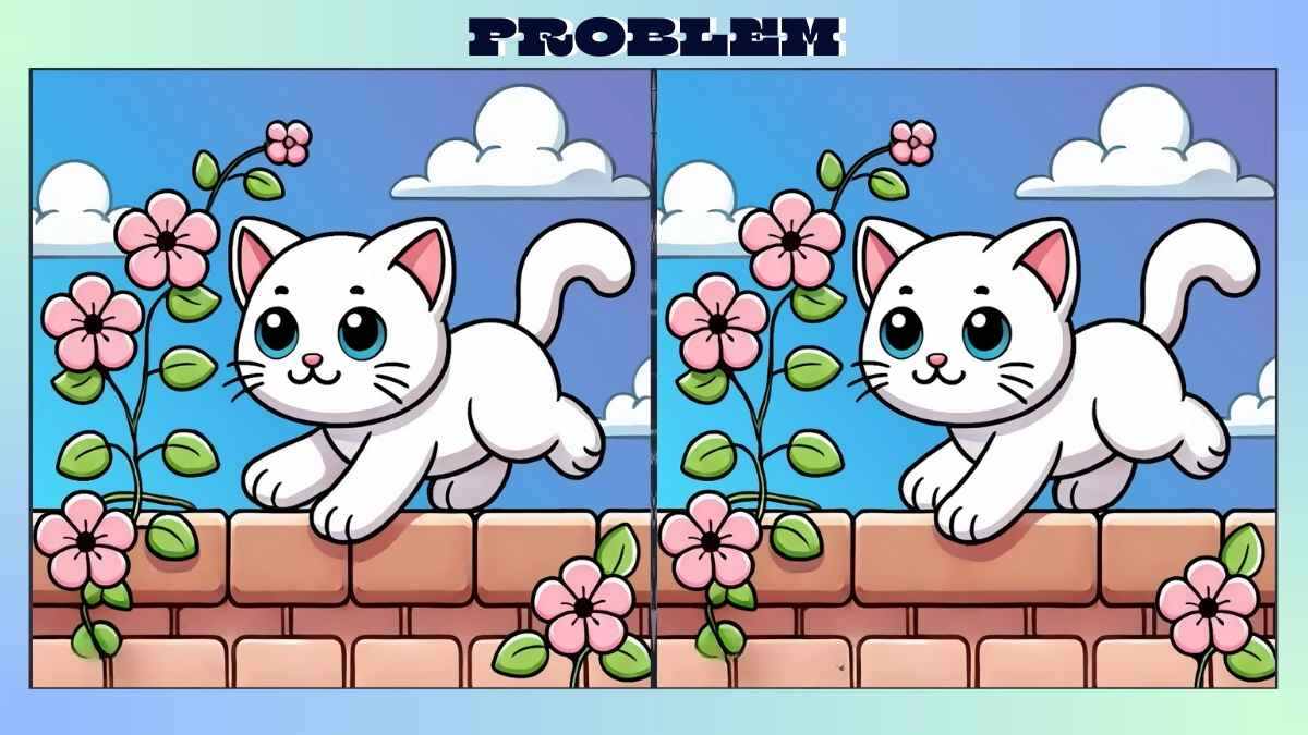 Find 3 Differences in Cute Kitten Picture in Just 28 Seconds