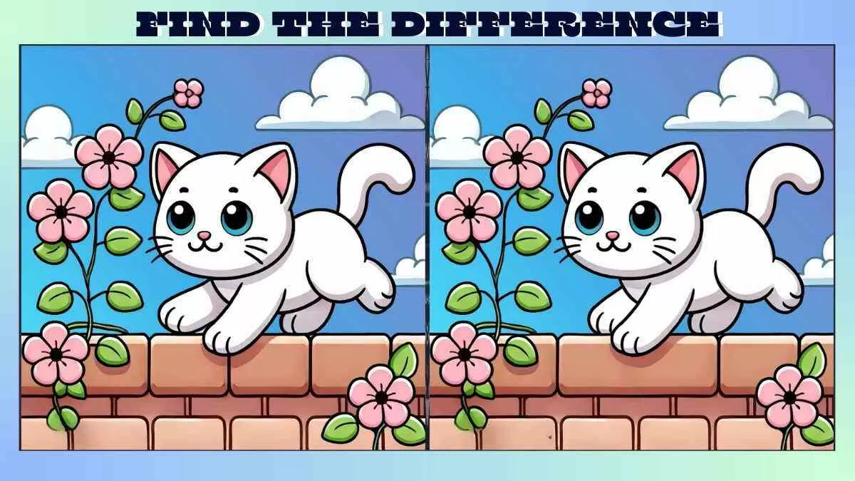 Find 3 Differences in Cute Kitten Picture in Just 28 Seconds