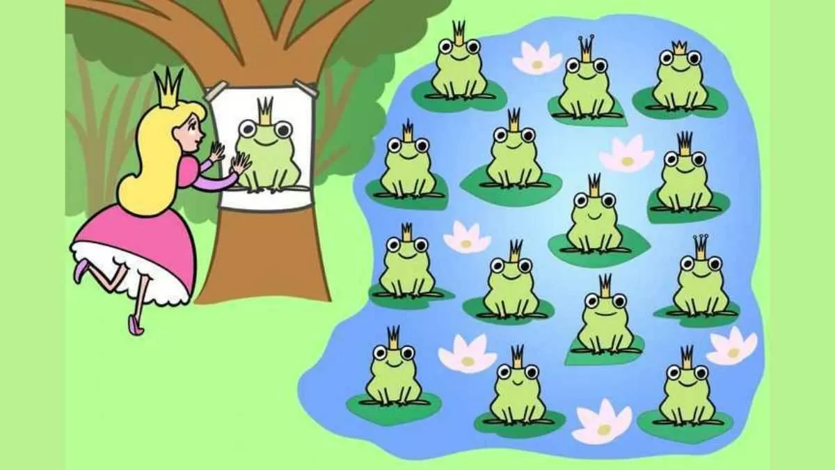 Find real frog prince