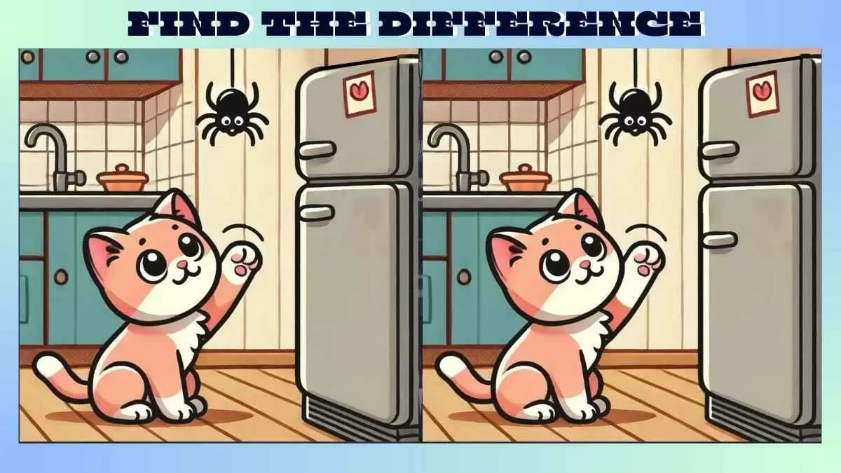 Find 3 Differences in Cute Kitten and Spider Picture in Just 10 Seconds