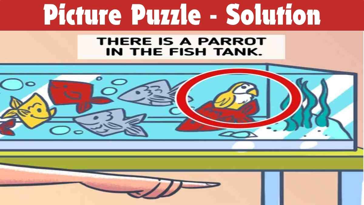 Picture Puzzle IQ Test: What is Wrong With This Picture? Test your IQ by Solving in 23 Seconds!