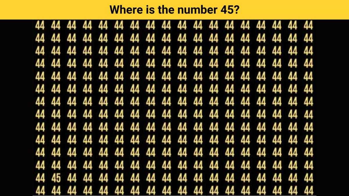 Brain Teaser IQ Test: Only for Sharp Minds! Can You Find 45 in 5 Seconds?