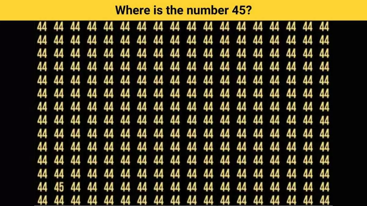 Find the number 45