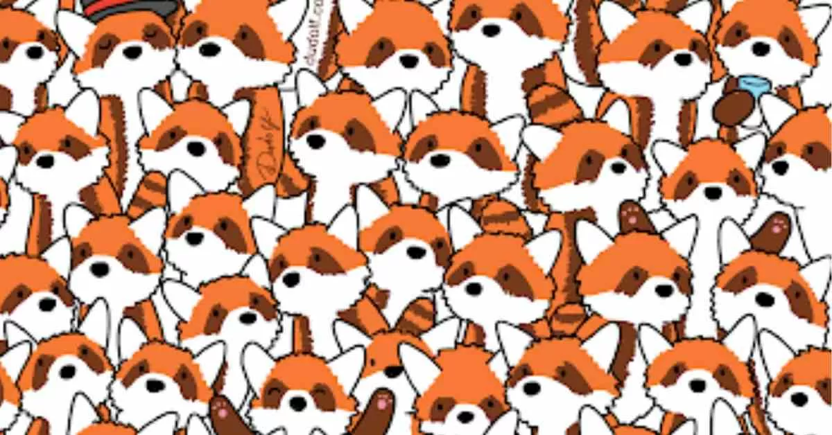 Find Three Hidden Foxes