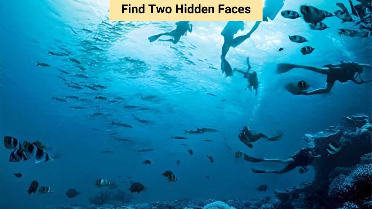 Optical Illusion IQ Test: Only 2% with high IQ can find two hidden faces in 6 seconds!