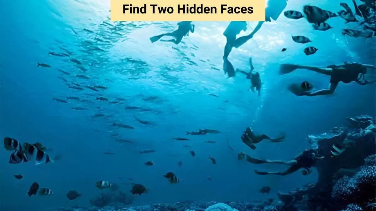 Find two hidden faces