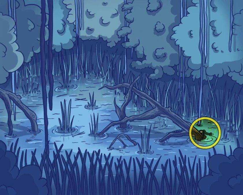 hidden optical illusions