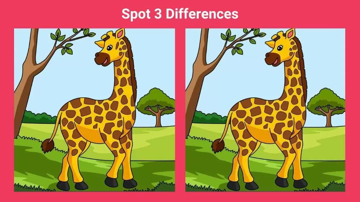 Spot 3 differences in 14 seconds