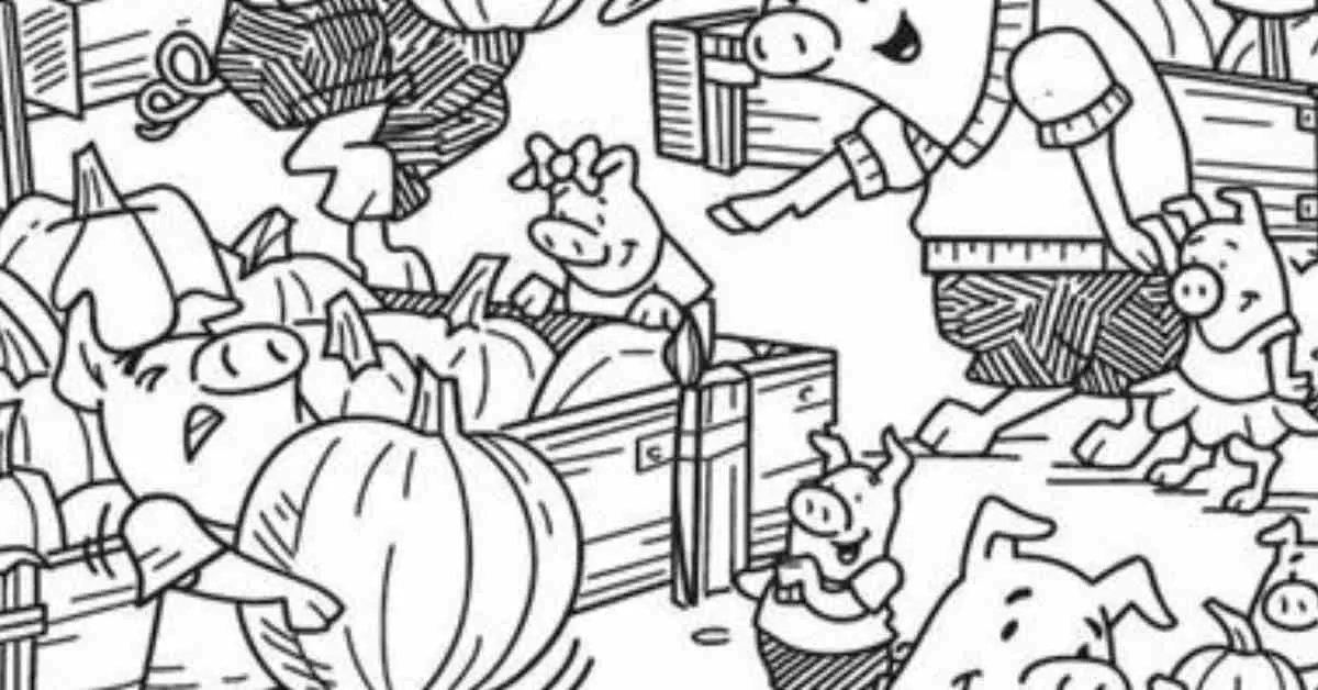 Find the Hidden Shoe in 9 Seconds