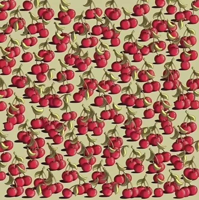 hidden objects optical illusions