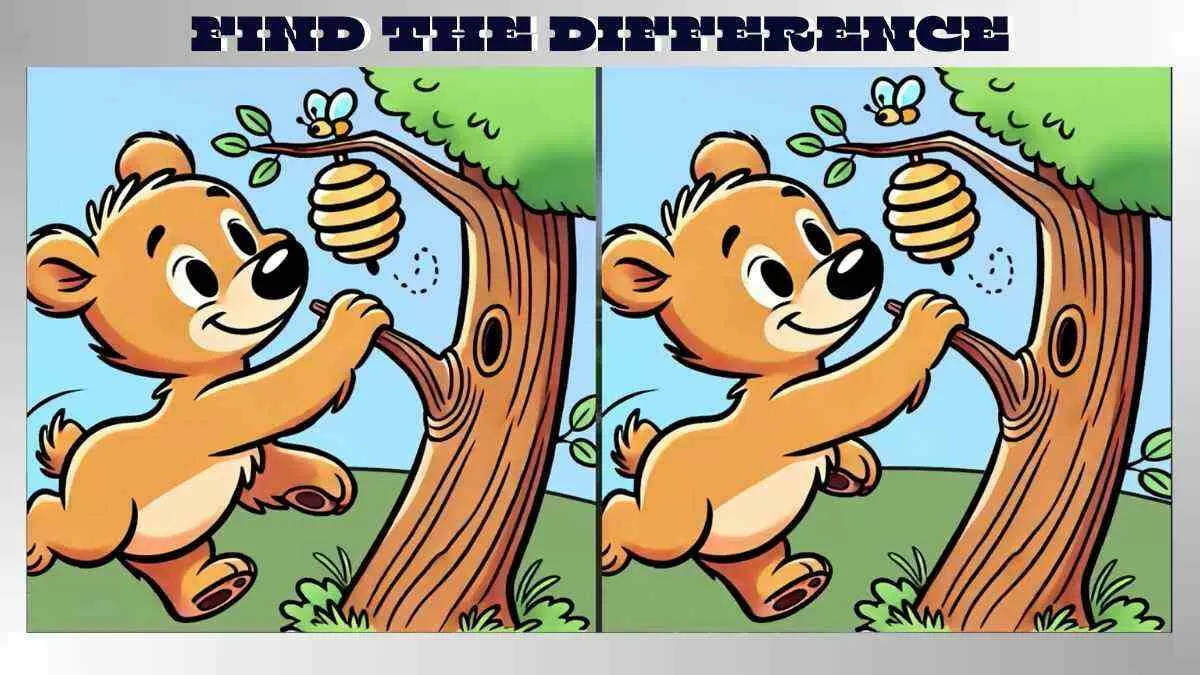 Find 3 Differences in Brown Bear and Beehive Pictures in Just 12 Seconds