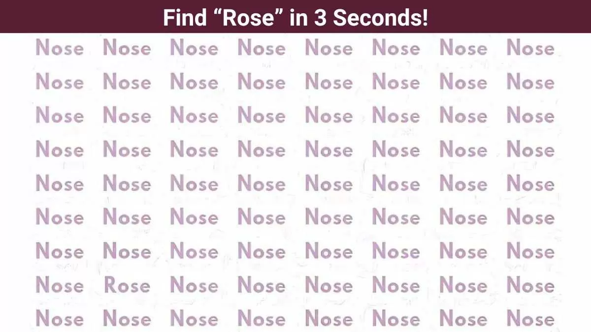 Find the word rose in 3 seconds!