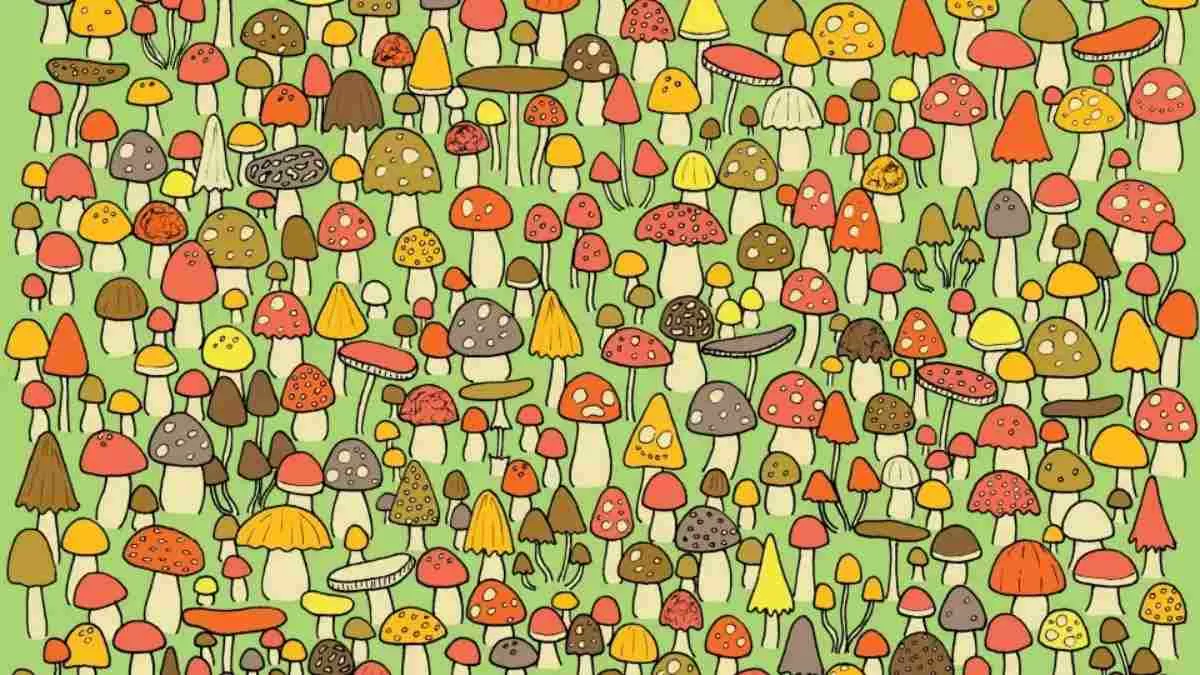 Spot The Mouse.