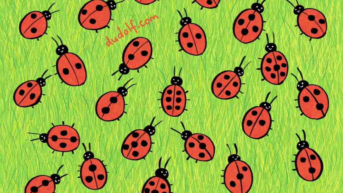 Picture Puzzle IQ Test: Can You Spot the Odd Ladybug in Just 5 Seconds?