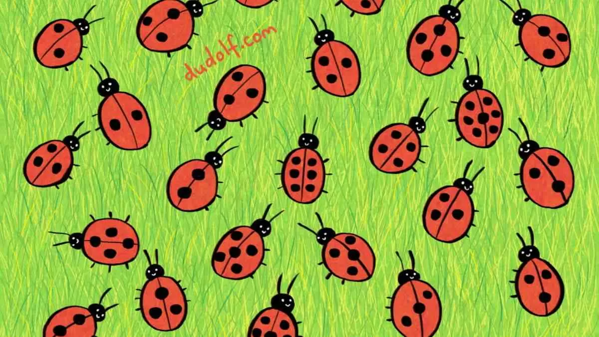 Spot the odd ladybug.