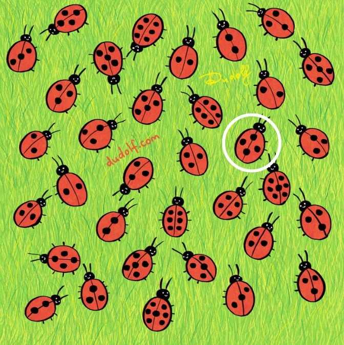 picture puzzles with answers