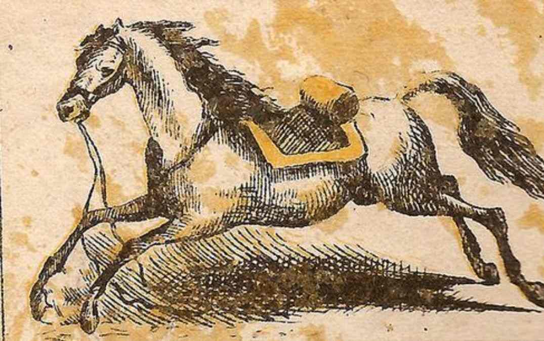 optical illusions with answers