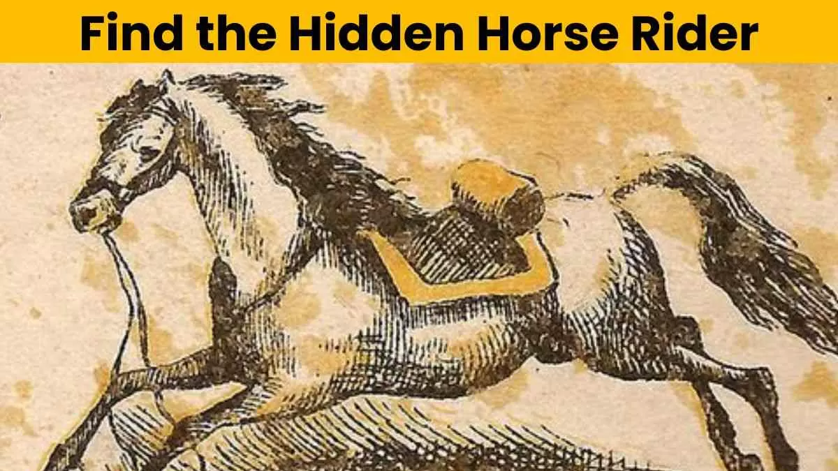 Spot The Horse Rider.