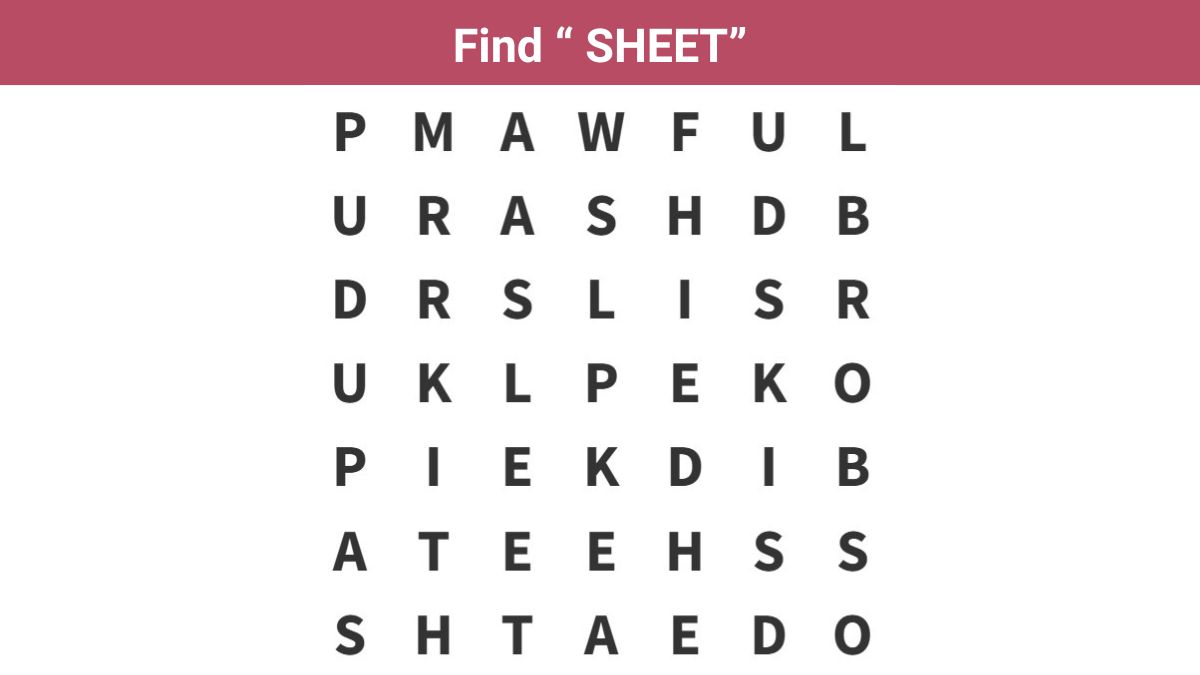 Word Search Puzzle - Find the word ”SHEET” in 7 seconds!