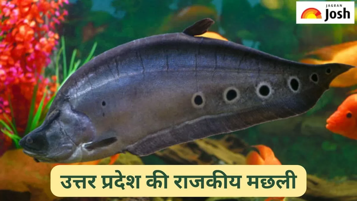 यूपी की राजकीय मछली