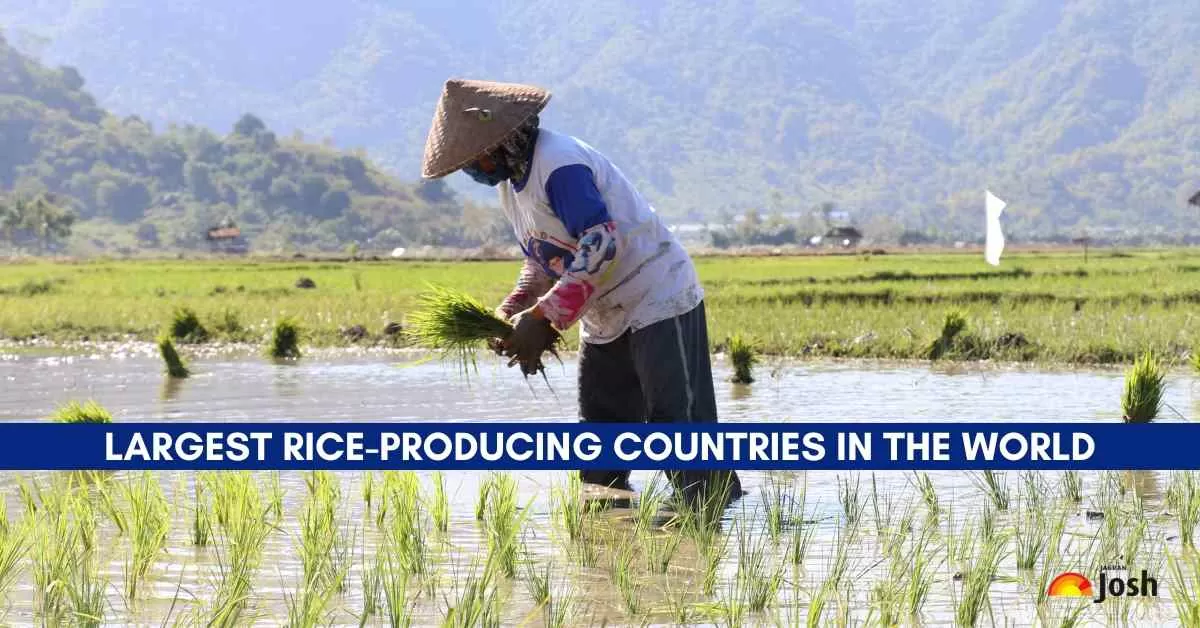Largest Rice-Producing Countries in the World