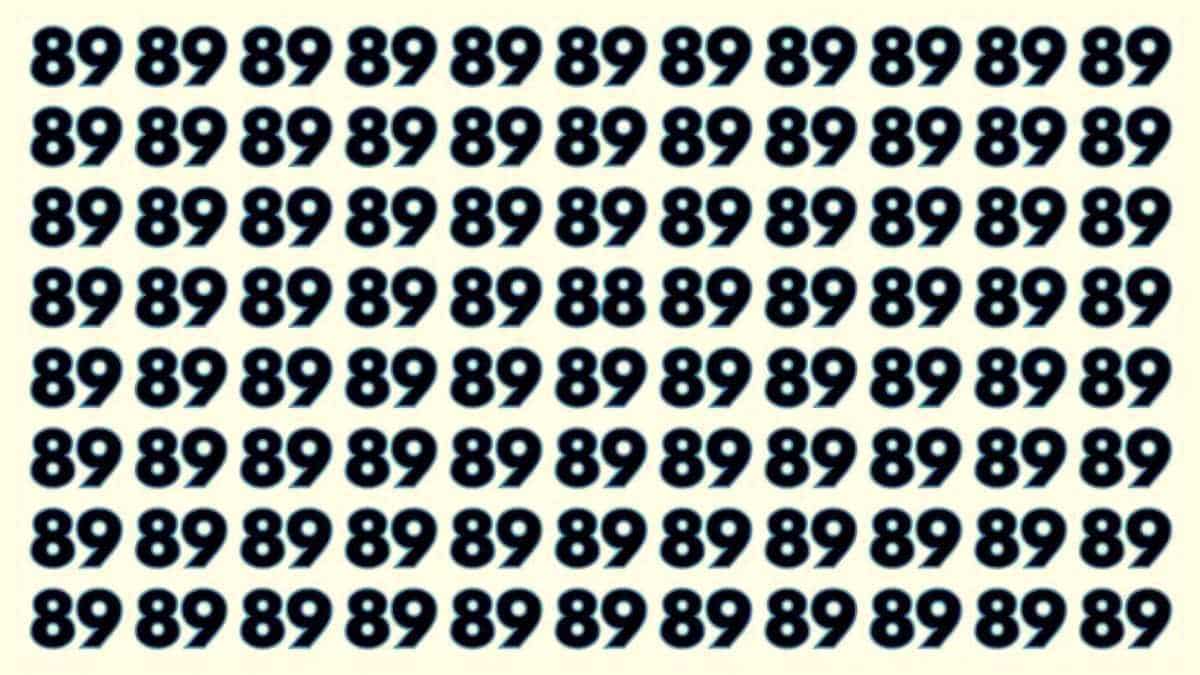 Optical Illusion Test - Only HD eyes can find 88 among 89’s in 6 seconds!
