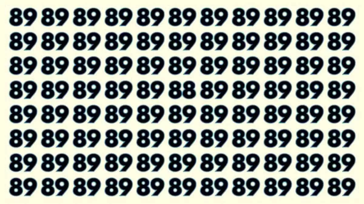 Optical illusion - Find 88 among 89's in 6 seconds!