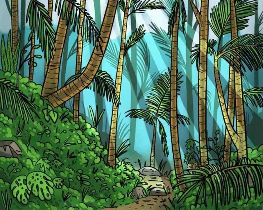 optical illusions with answers