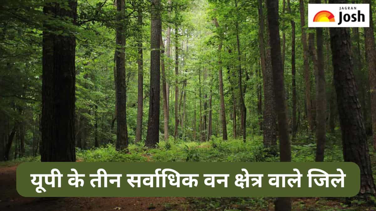 उत्तर प्रदेश के तीन सर्वाधिक वन क्षेत्र वाले जिले कौन-से हैं, जानें 
