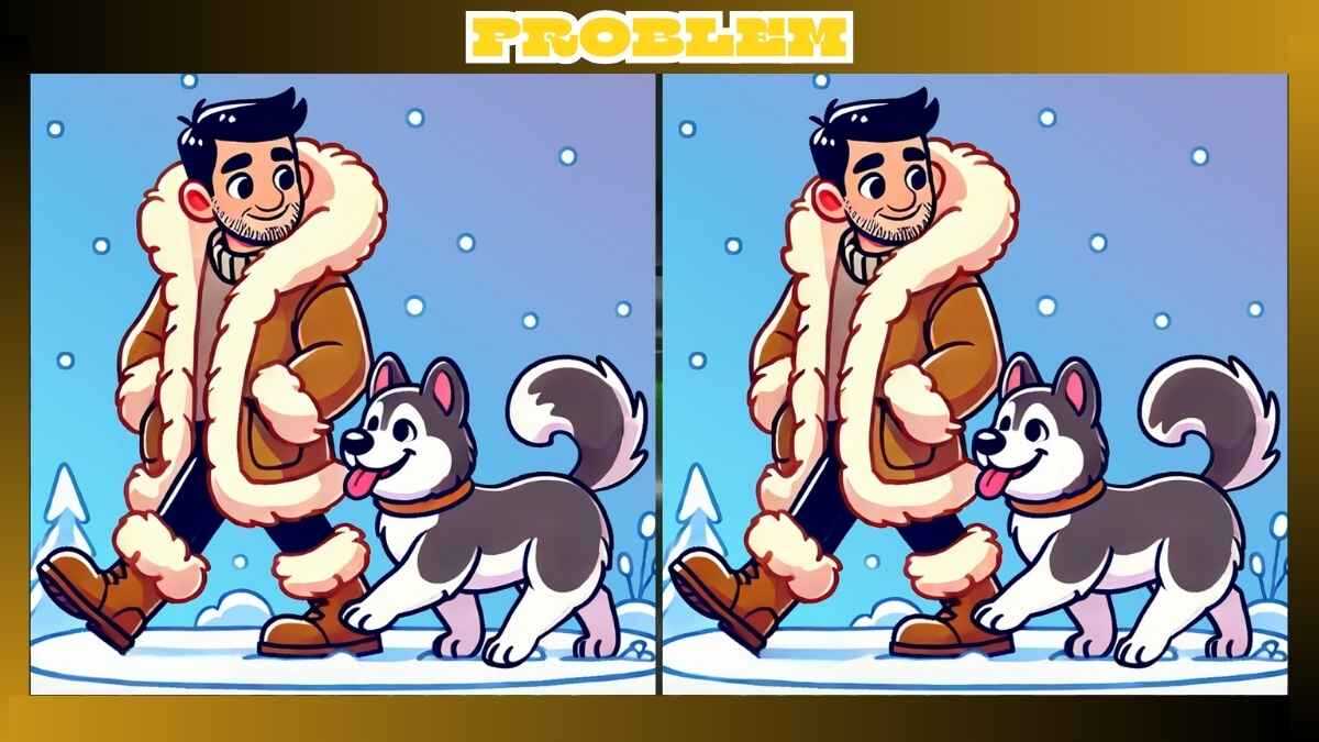 Find 3 Differences in Husky in Snow Pictures in Just 14 Seconds