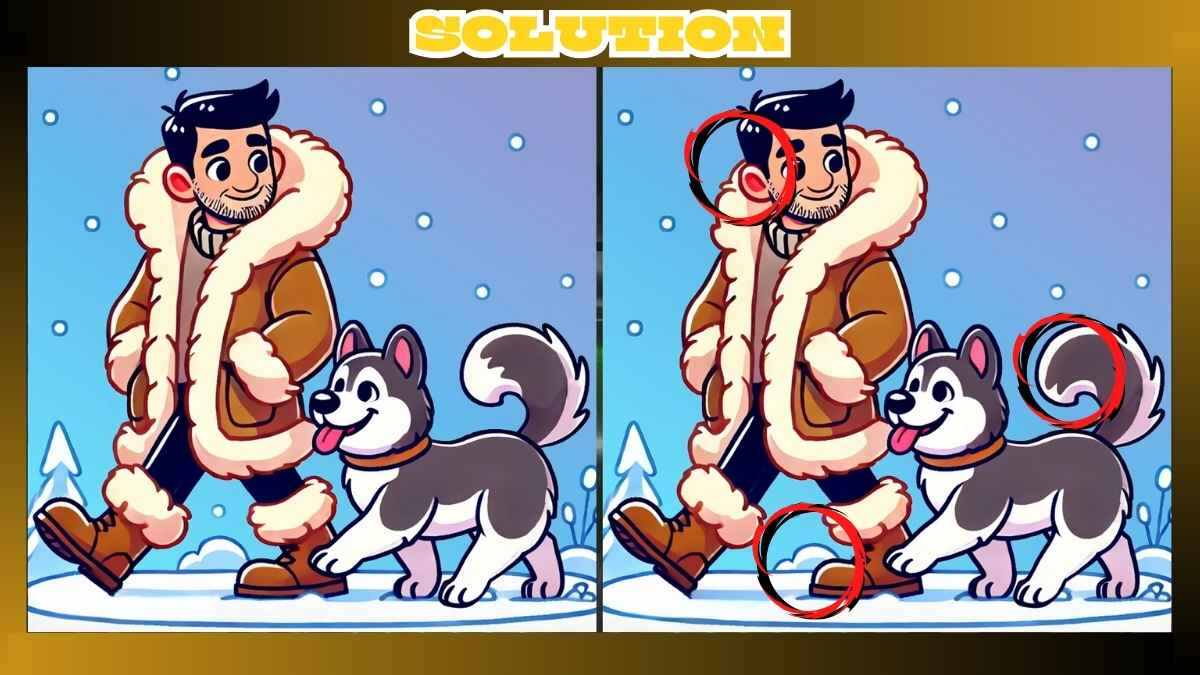 Find 3 Differences in Husky in Snow Pictures in Just 14 Seconds