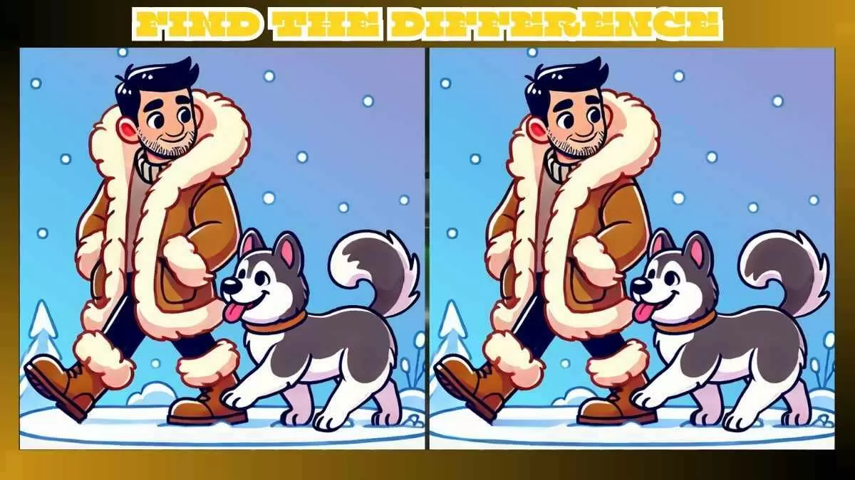 Find 3 Differences in Husky in Snow Pictures in Just 14 Seconds