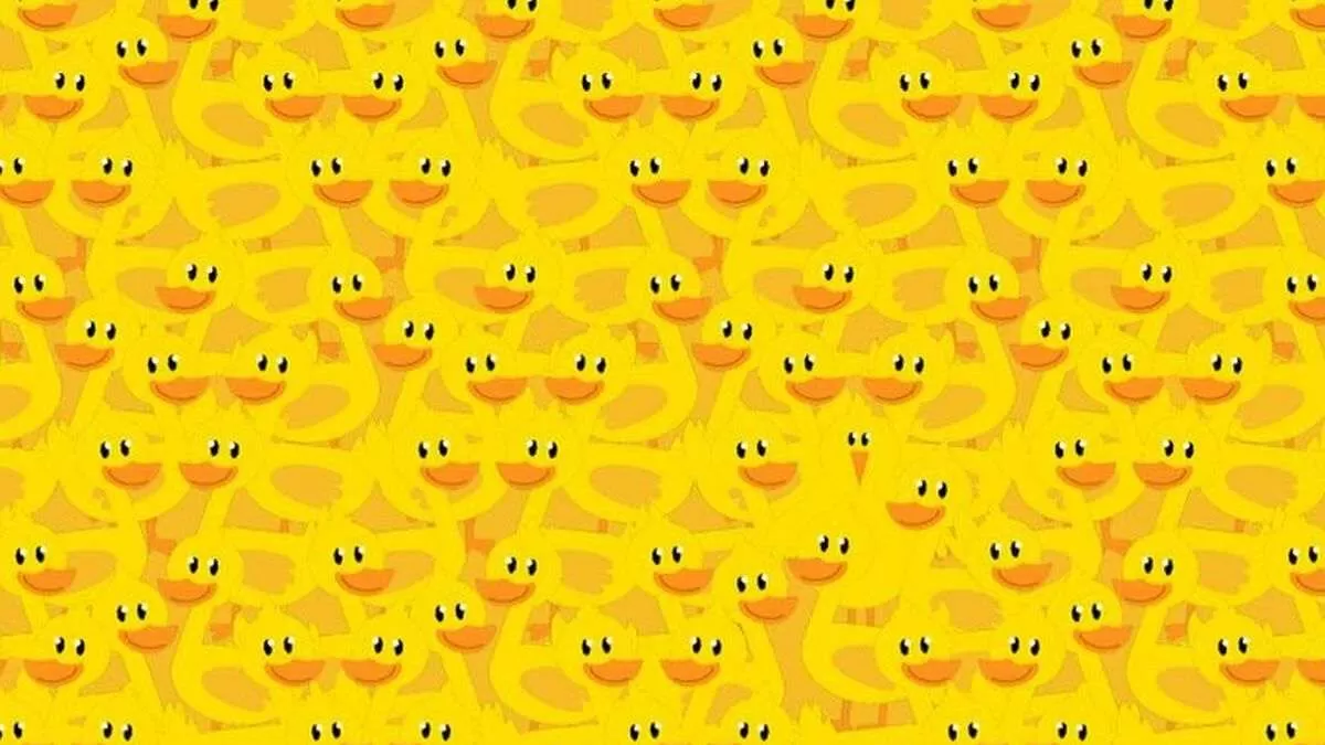 Spot the hidden chicken.