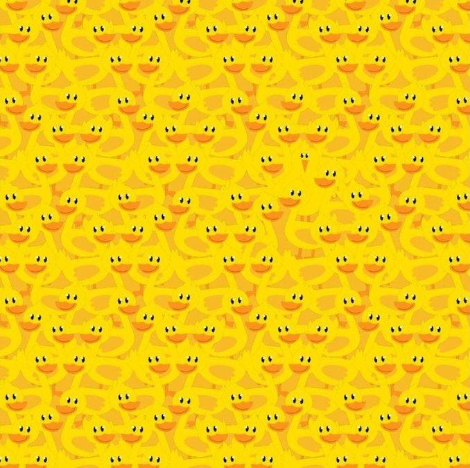 optical illusions with answers