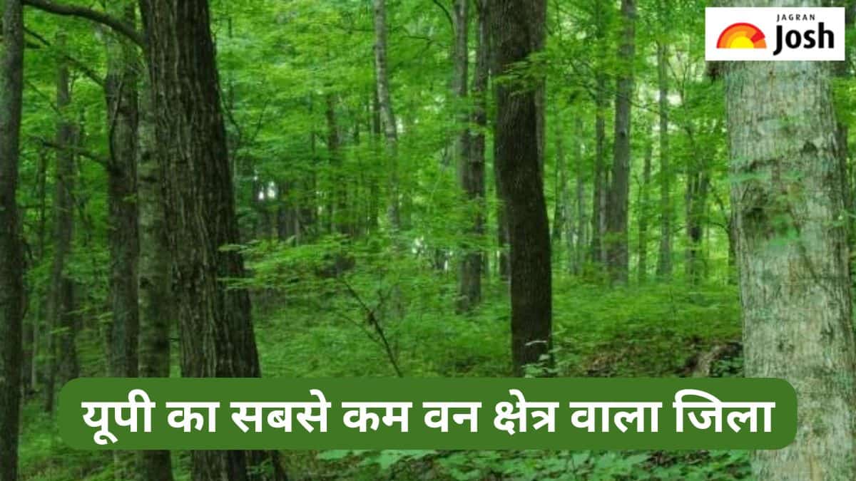 उत्तर प्रदेश के किस जिले में है सबसे कम वन क्षेत्र, जानें 